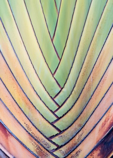 The importance of an evaluation framework in R&D management