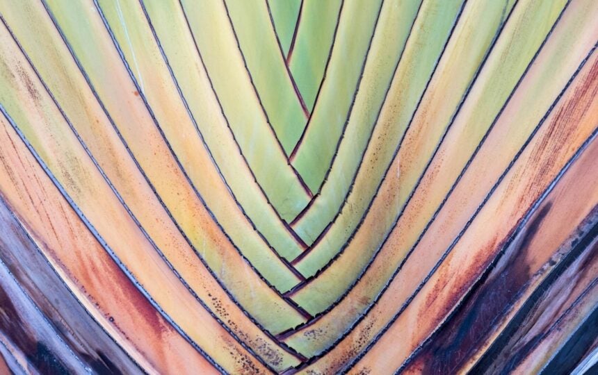 Innovation doesn’t always need to be radical: an example in diabetes