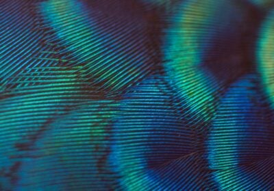 Enabling research excellence in the health sciences