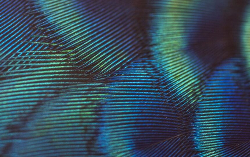 Assessing researcher mobility for R&D management