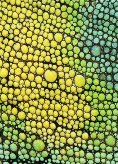 Mind the gap: Using advanced analytics to find and fill the holes in real world data