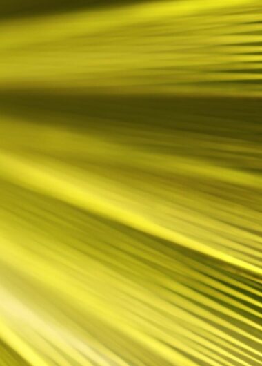 Scaling for Success: Enabling an AmLaw 200 Firm to Seamlessly Manage Rapid IP Section Growth