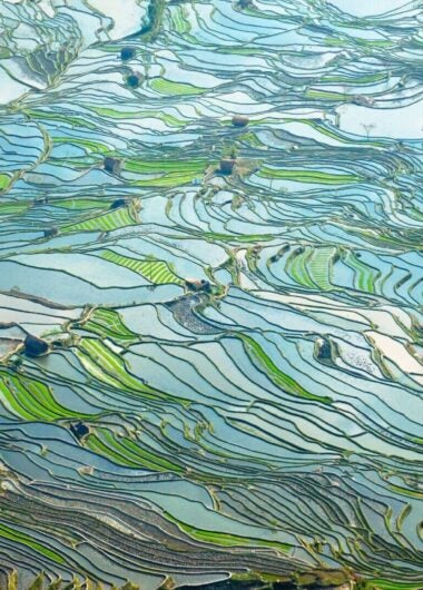 중국- 규제진화를 통해 신약접근을 큰 폭으로 개선