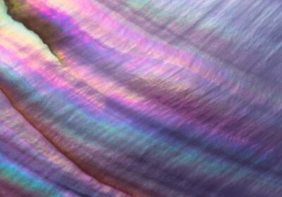 Discover how Cairnmillar Institute leveraged big-library capabilities on a smaller scale 