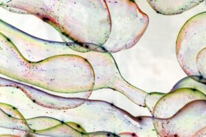 Building more effective, long-lasting relationships with peer reviewers 