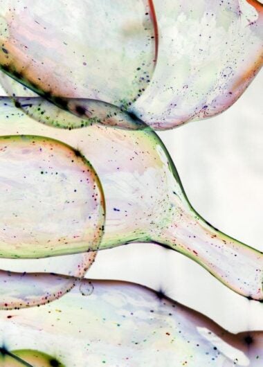 パラダイムシフトを起こす 注目のADCイノベーター - Companiese to Watch 2024 -