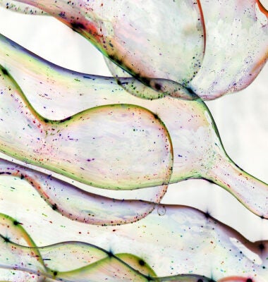 Life Sciences & HealthCare Blog