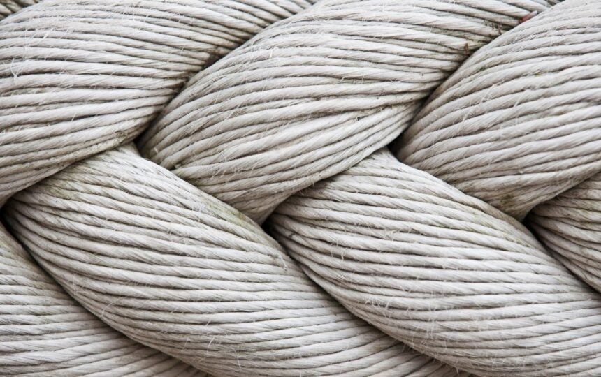 Together, we innovate: Join the Web of Science Community Forum