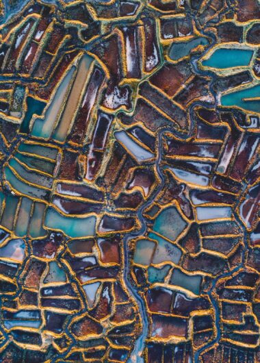 IP answers for business results