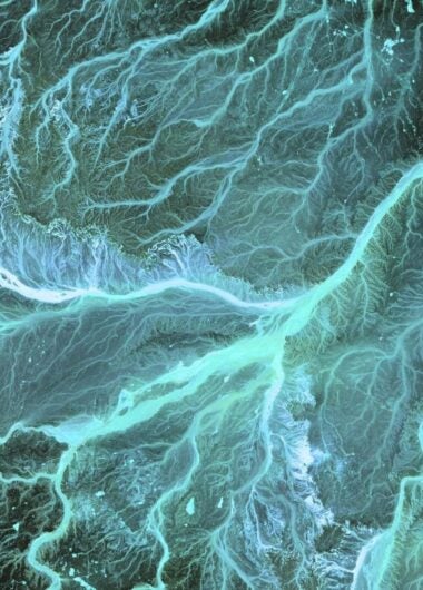 Celebrating 50 years of Journal Citation Reports