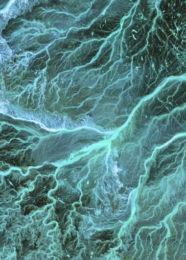 Adapting to client needs through effective IP management workflows