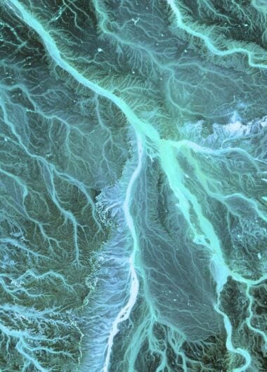 Supporting open research initiatives 