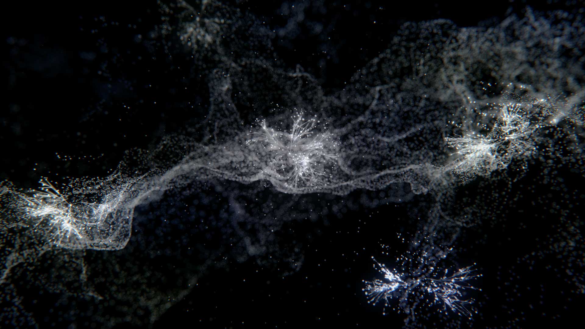 Highly Cited Researchers