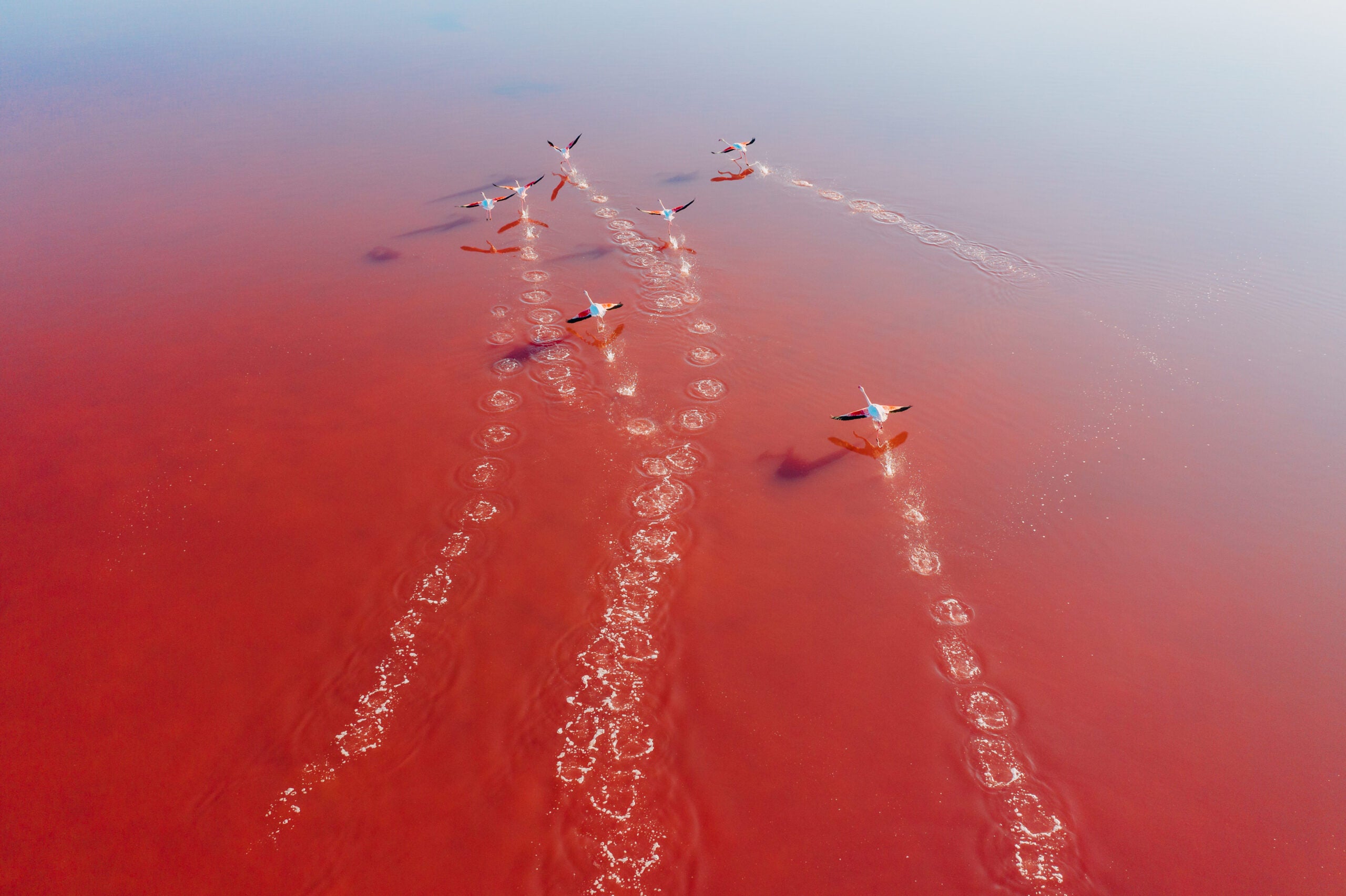 A Scientific Elite: Highly Cited Researchers with Staying Power, 2014-2024