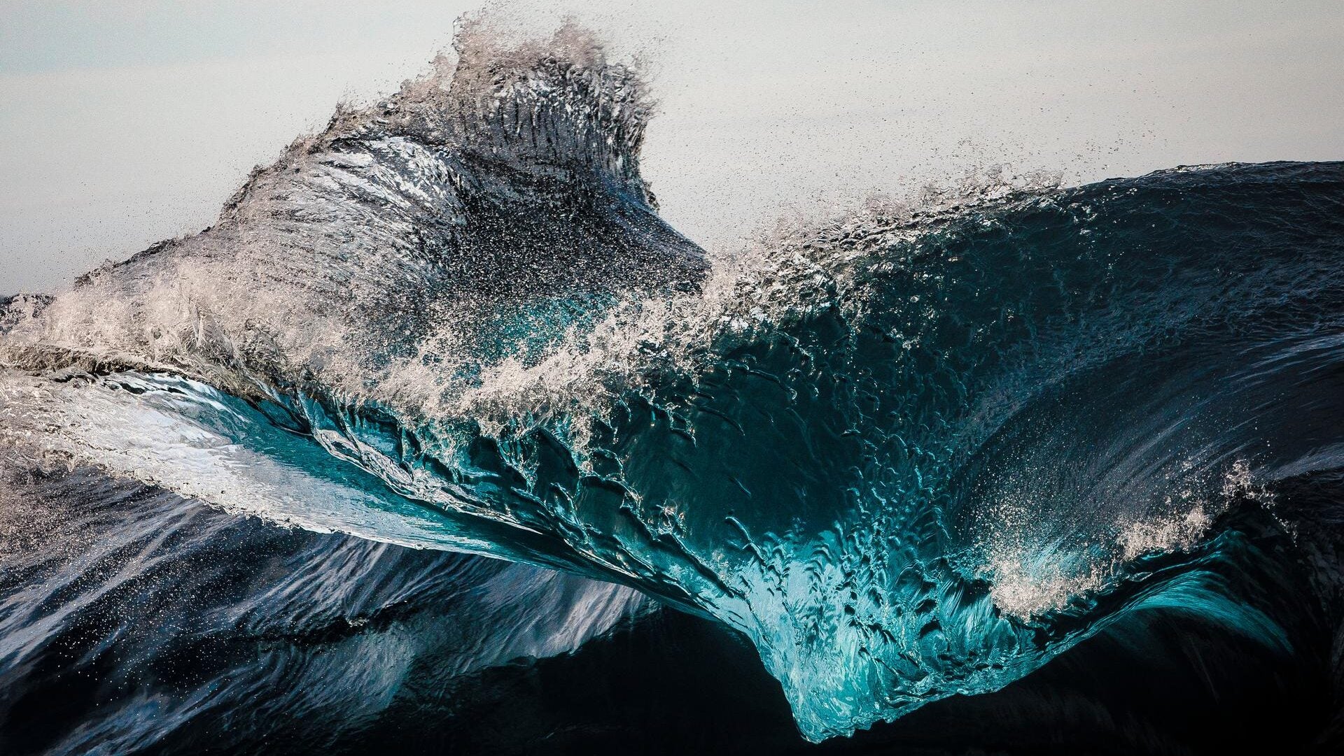 Managing uncertainty for medicine in Washington