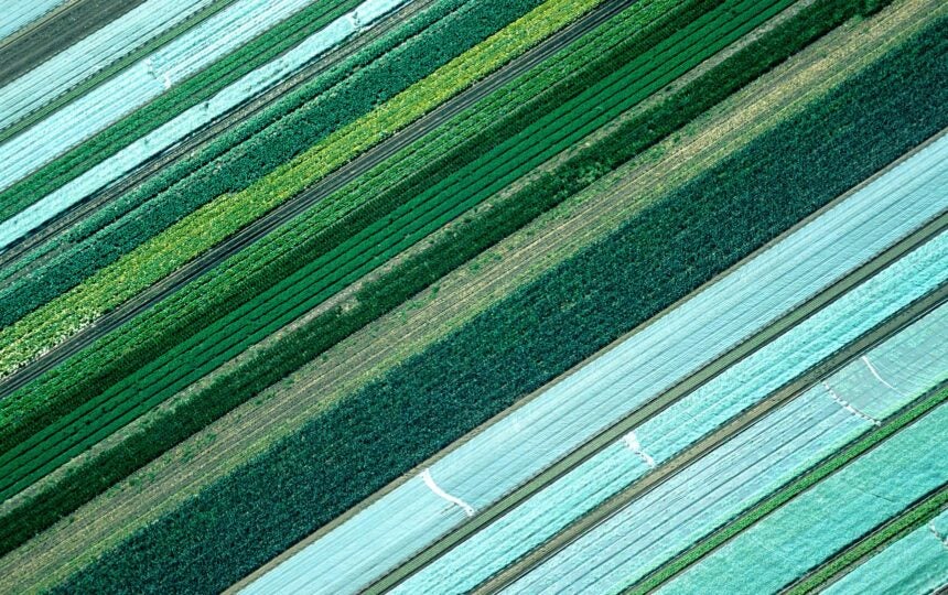 Setting your sustainability research strategy: Using InCites to analyze SDGs