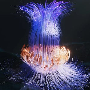 Citation Laureates 2024